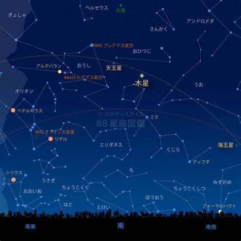 11月23日 星座